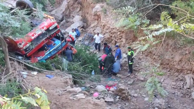 Imagen7
