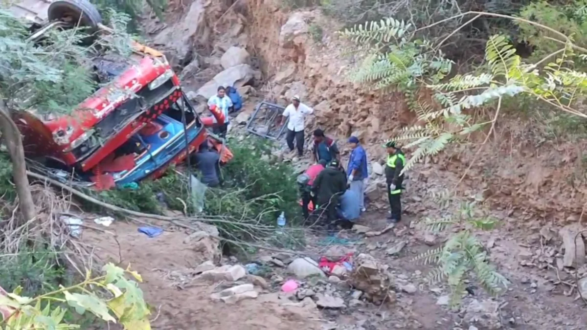 Imagen7