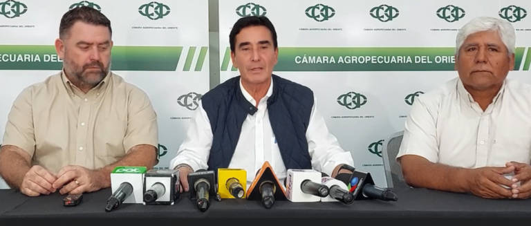 cao-propductores_101-10549455_20241202132126