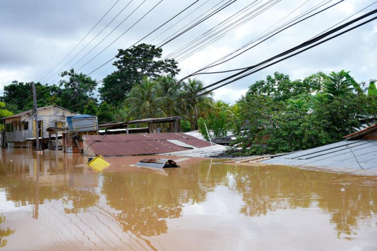 inundacin-en-cobija-pandofoto-gam-de-cobija._670341809