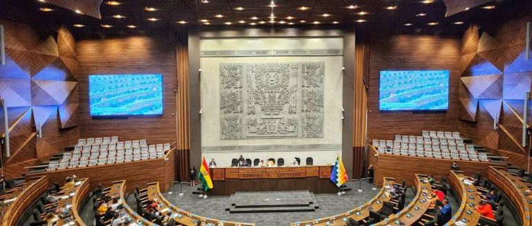 la-sesion-de-la-camara-de-diputados_101-12247458_20250618105919