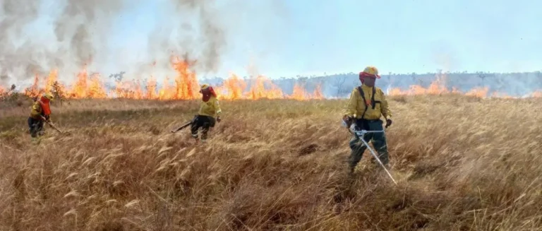 parque-noel-kempff-incendio_101-12793833_20250815151827