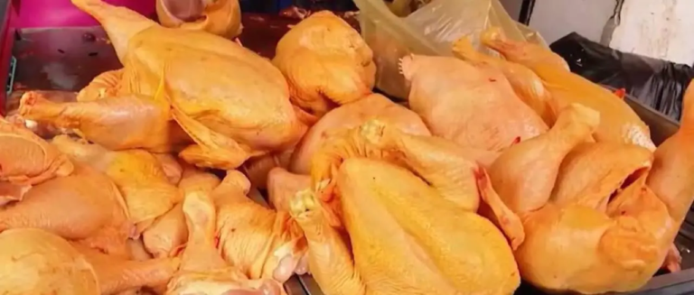 pollo-kilo_101-12748036_20250811120343