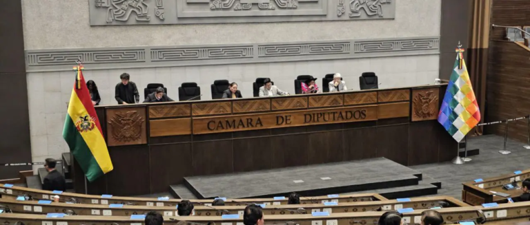 la-sesion-de-la-camara-de-diputado-q_101-13259232_20251003134615