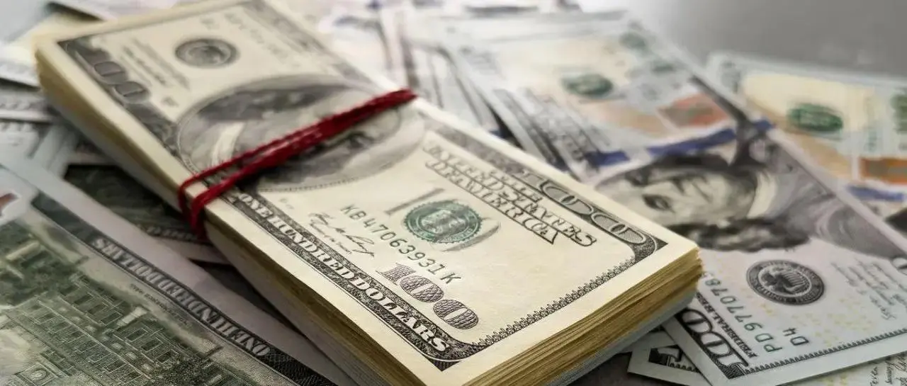 8_101-13648385_20251113104738