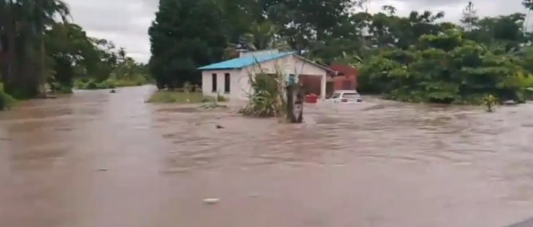 captura-de-pantalla-2025-11-17-10075_101-13681638_20251117142522