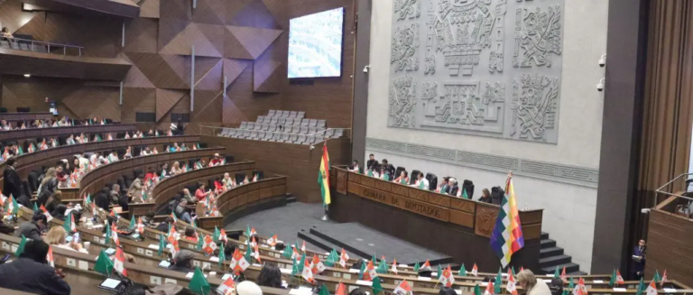 la-sesion-de-la-camara-de-diputados_101-13692304_20251118123718