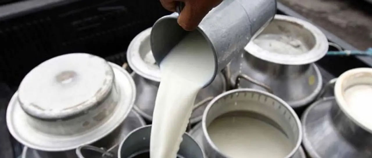 lecheee_101-13619890_20251111121601