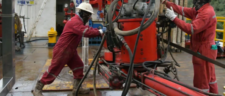 operarios-trabajan-en-el-campo-churu_101-13620152_20251111141828