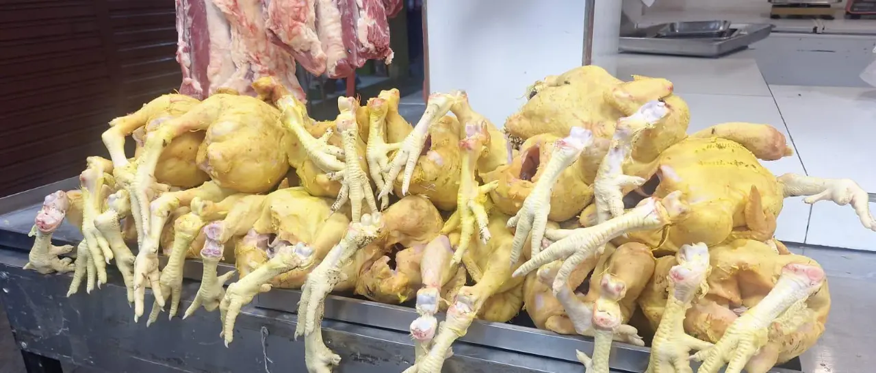 pollo_101-13619988_20251111124445