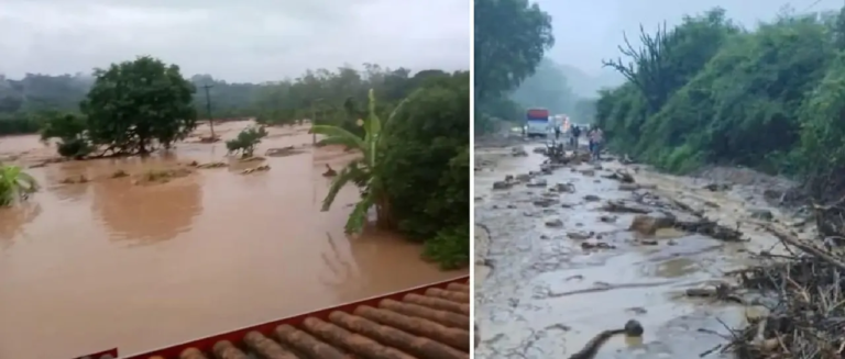 22_101-13946958_20251213131256