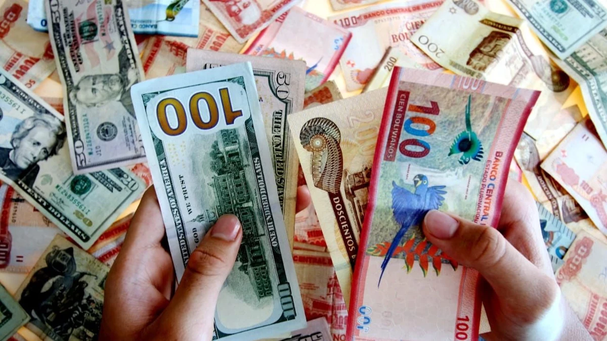 eldeber-dolares1-jpg.