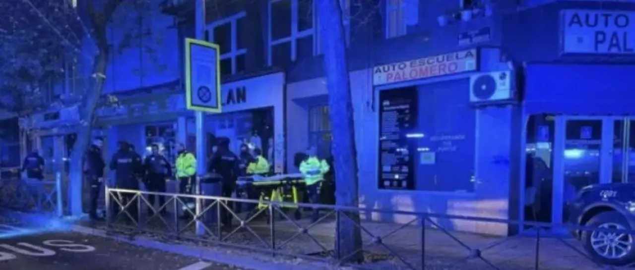 mafred_101-13980238_20251217153509