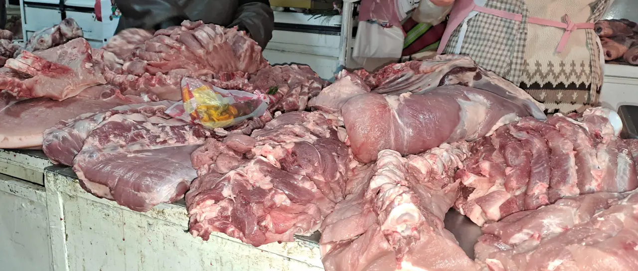 whatsapp-image-2025-12-24-at-07-00_101-14040833_20251224130917