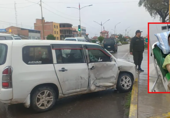 flores_101-14194248_20260114152149