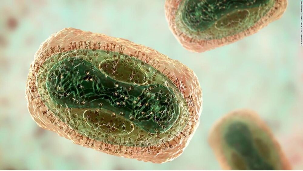 img_696919d08ff8b-1000x565 (1)