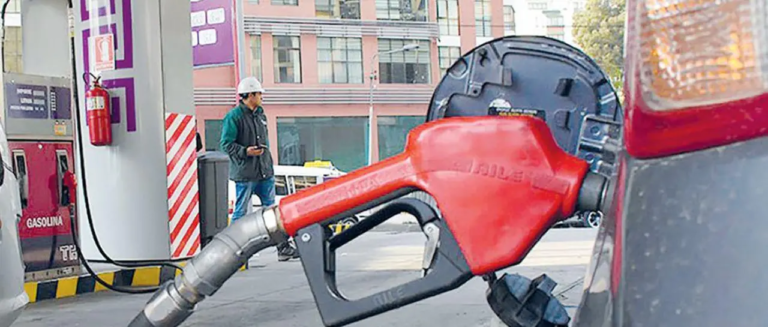 surtiudor_101-14256191_20260121110046