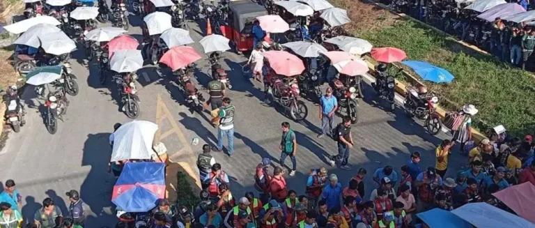 12_101-14479082_20260213101448