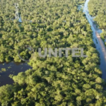 6666666_101-14613607_20260227142642