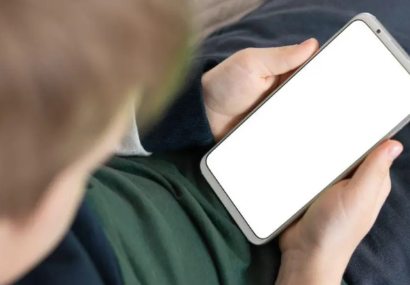 a1-1412687084-1_101-14375246_20260203120155