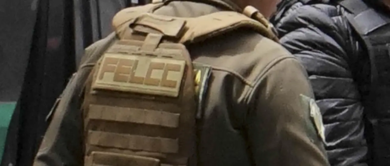 felcc-apg_101-14375188_20260203115034