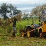 foto-referencial-sobre-la-produccion_101-14456509_20260211121109