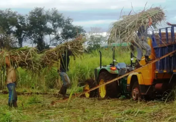 foto-referencial-sobre-la-produccion_101-14456509_20260211121109