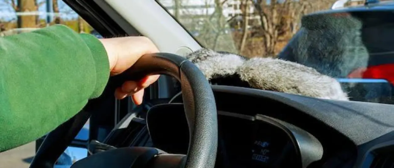 image_101-14578651_20260224145824