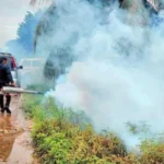 imagen-1111111_101-14446183_20260210140034