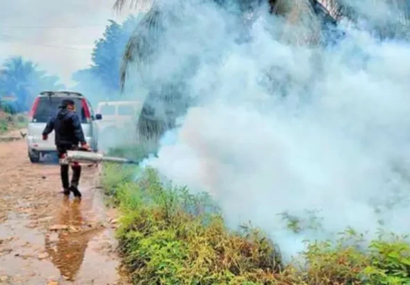 imagen-1111111_101-14446183_20260210140034