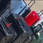 maleeeee_101-14456916_20260211141335