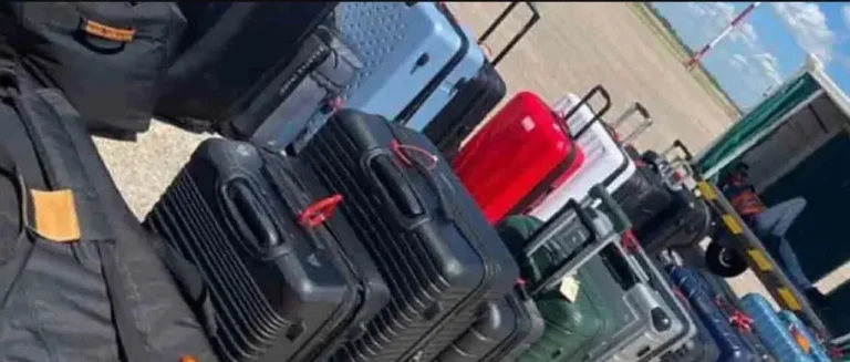 maleeeee_101-14456916_20260211141335