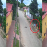 milimg-7329-5121303-14339971-2026020_101-14389411_20260204132341