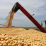 soyaaa_101-14578168_20260224135224