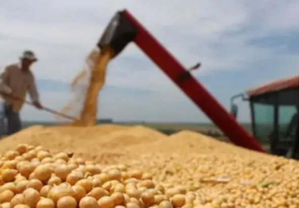 soyaaa_101-14578168_20260224135224