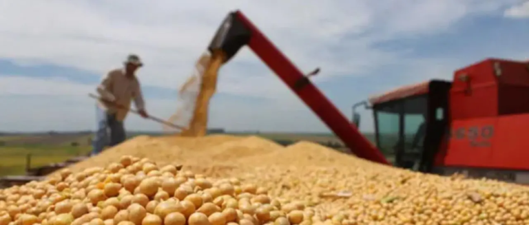 soyaaa_101-14578168_20260224135224