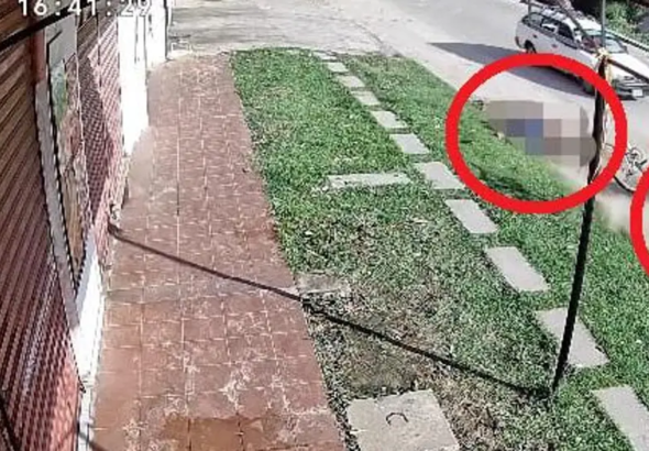 11333_101-14713813_20260310142320