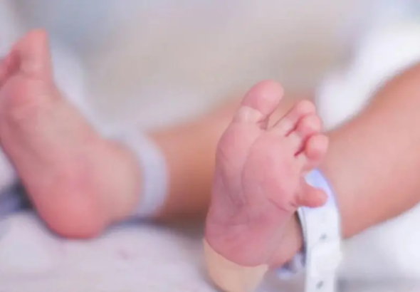 asf_101-14908662_20260330143704