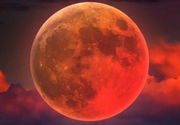 n3_101-14645996_20260303112923