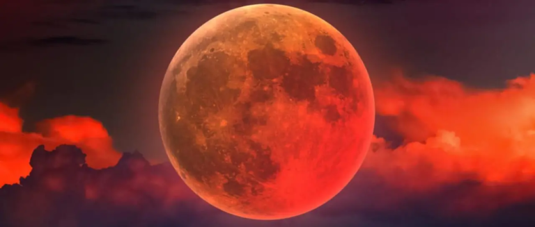 n3_101-14645996_20260303112923