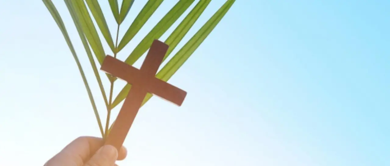 n3_101-14884550_20260327130324