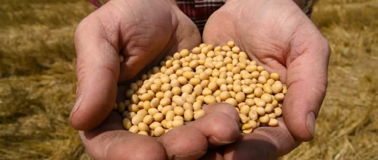 soja-ii_101-14825783_20260321155607