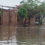 whatsapp-image-2026-03-18-at-07-13_101-14790615_20260318130655