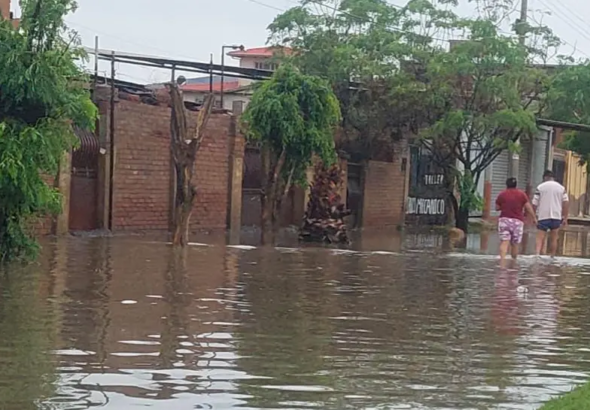 whatsapp-image-2026-03-18-at-07-13_101-14790615_20260318130655