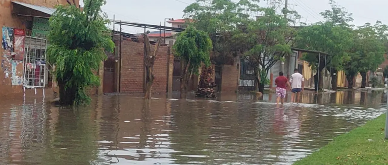 whatsapp-image-2026-03-18-at-07-13_101-14790615_20260318130655