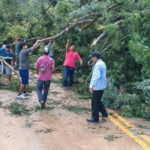 whatsapp-image-2026-03-30-at-08-16_101-14908613_20260330140008