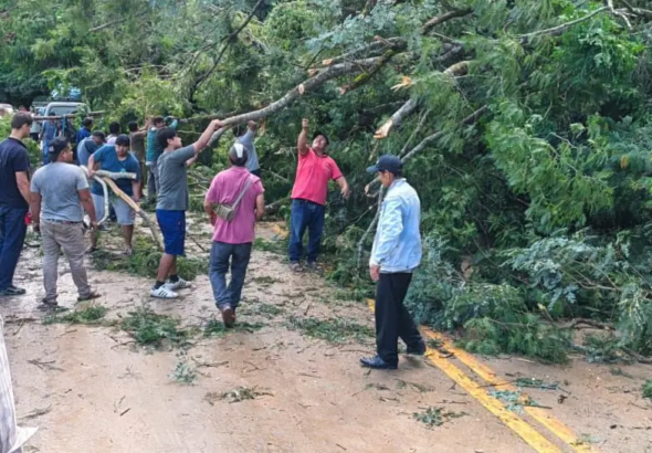 whatsapp-image-2026-03-30-at-08-16_101-14908613_20260330140008