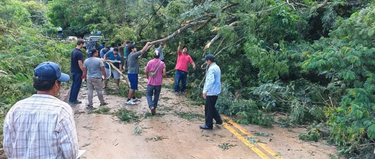 whatsapp-image-2026-03-30-at-08-16_101-14908613_20260330140008