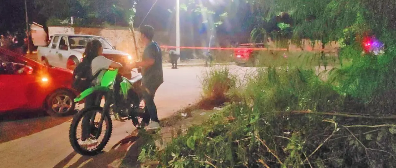 658995707-1308755021315858-472171674_101-14933350_20260401113708