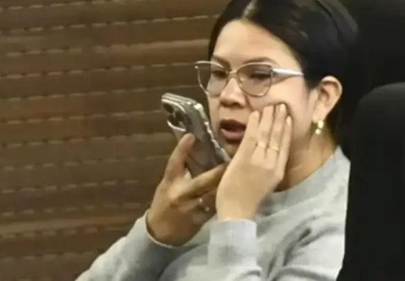 diputada-romero_101-14943431_20260402015732